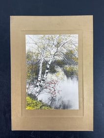 Hand-Colored Landscape Print by David Davidson