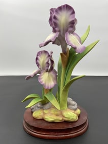 "Purple Mere Iris" - By Andrea