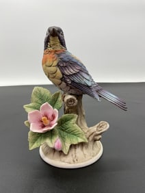 Parula Warbler by Andrea
