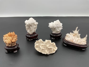 Natural Stone Scholar's Rocks on Carved Wood Bases