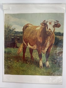 Vintage Cattle Print or Chromolithograph - Box 12