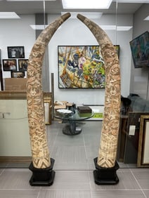 MASSIVE Bone Tusks