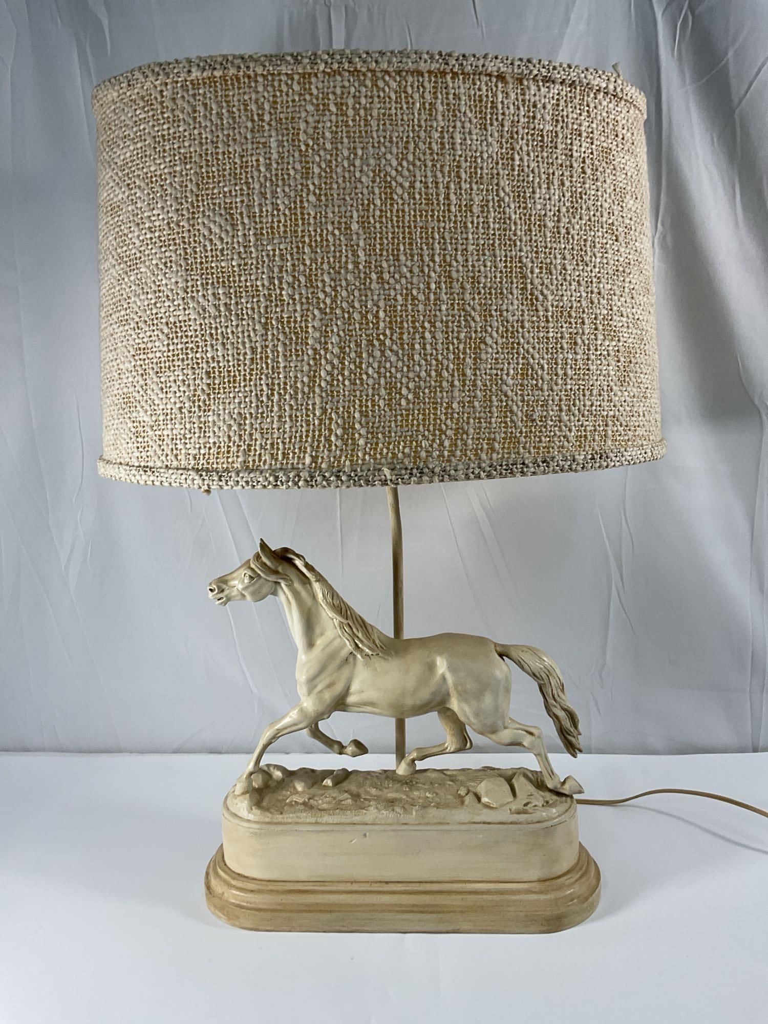 Lamp (horse) (1 of 5)