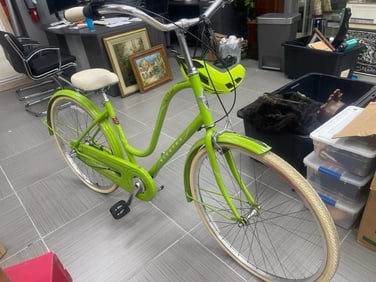 Electra Bicycle
