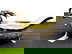 item-208613307=1