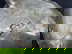 item-208613307=4