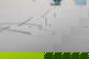 item-208613415=4