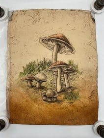 Mushroom Study by Cooper