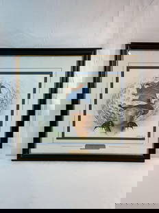 Greg Norman "The Shark" Lithograph: Greg Norman "The Shark" signed by the artist on the lower right and dated 1995. Medium: Lithograph Dimensions: H:23in L:26in