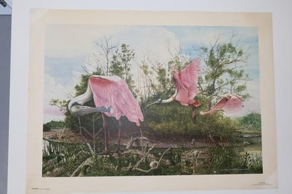 "Pink Passion" by Keith Martin Johns