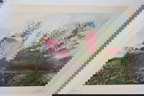 "Pink Passion" by Keith Martin Johns: "Pink Passion" by Keith Martin Johns 518/950 Dimensions: H:24in L:32 1/2in