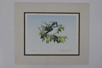 "Blue Jay Day" by Keith Martin Johns 351/950