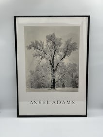Oak Tree, Snowstorm by Ansel Adams