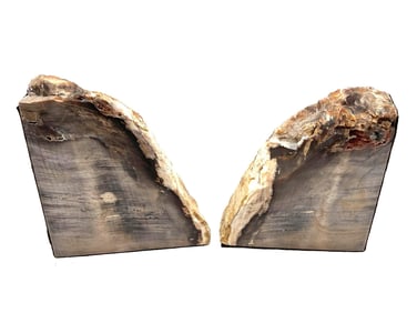 Petrified Wood Bookends