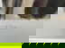 item-211053787=2