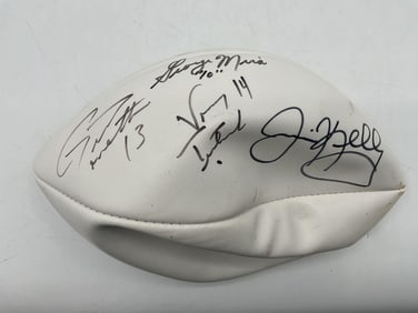 Autographed White Panel Football