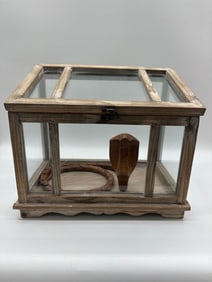 Hand-Carved Wooden Cobra in Display Case