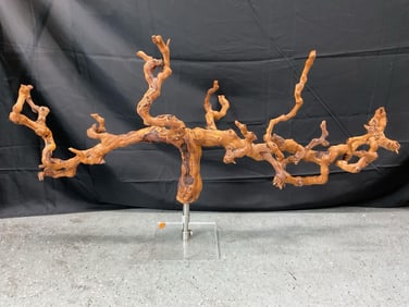 Natural Driftwood Grapevine Sculpture
