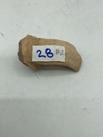 28#2 - Fragment of Carved Terracotta Column or Figurine Base