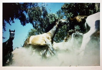 Robert Vavra Untitled (Horses)