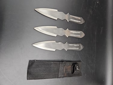 Set of 3 Stainless Steel Throwing Knives with Sheath
