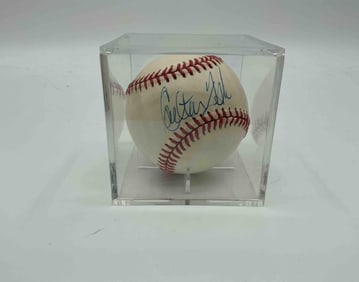 Carlton Fisk Signed Baseball PSA/DNA Authenticated