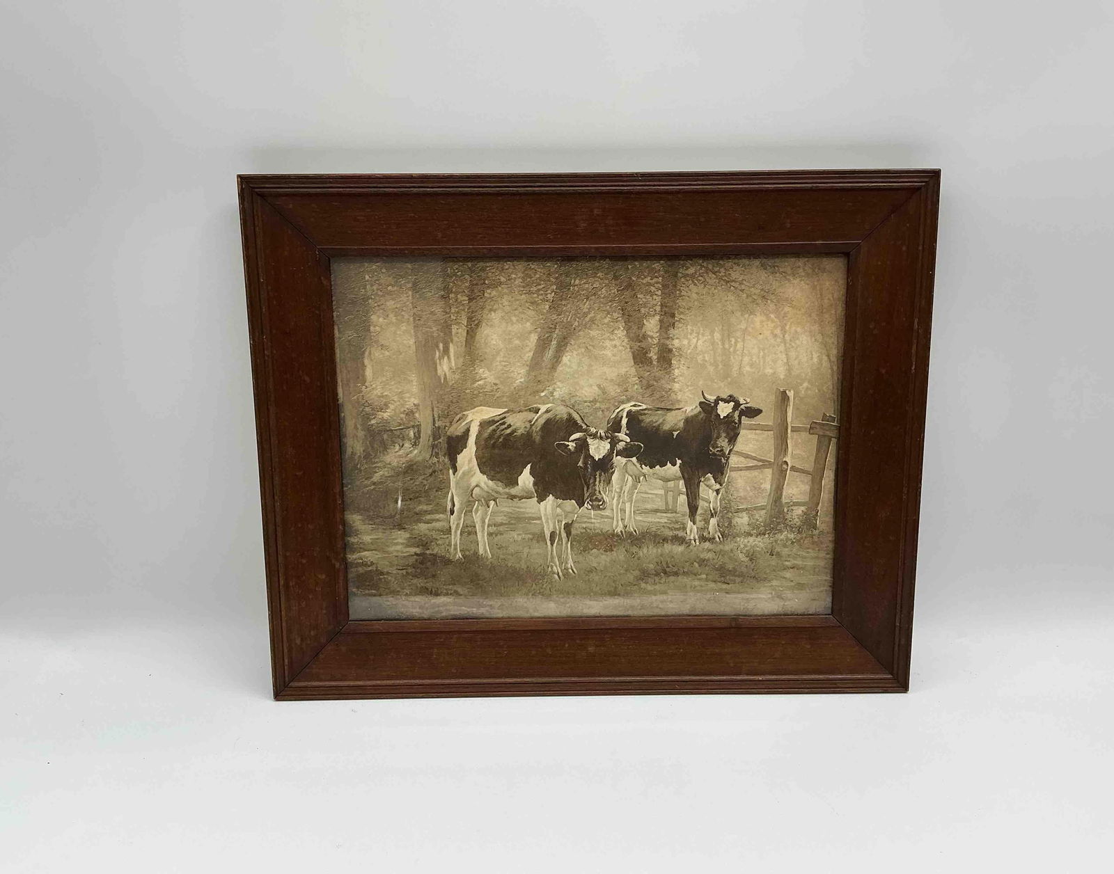 Framed Sepia Print of Cows in Pasture (1 of 3)