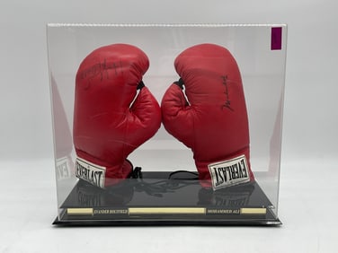 Autographed boxing gloves