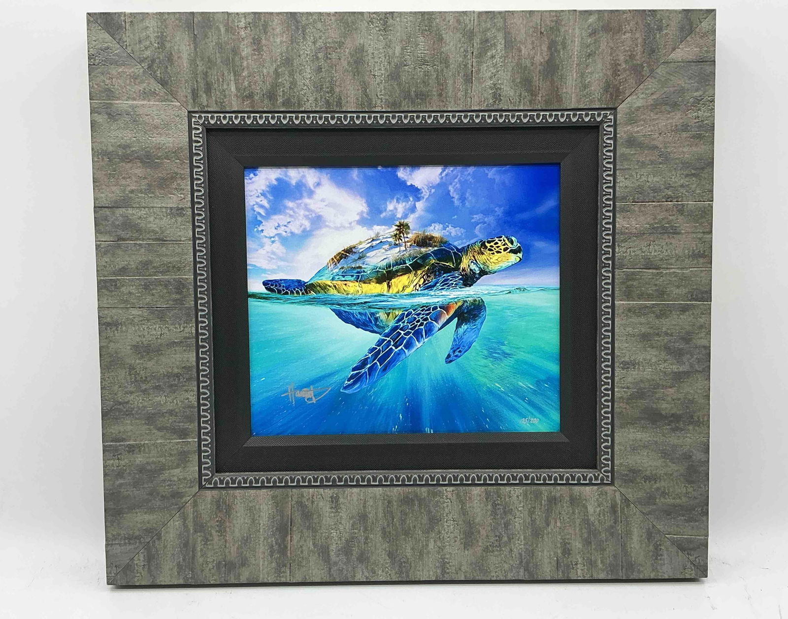 "Turtle Island" by Ashton Howard (American, b.1979) Dye Sublimation (1 of 9)