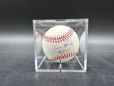 Tim Raines Autographed Baseball JSA Authenticated