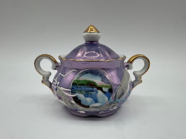 Vintage Japanese Niagara Falls Souvenir Sugar Bowl