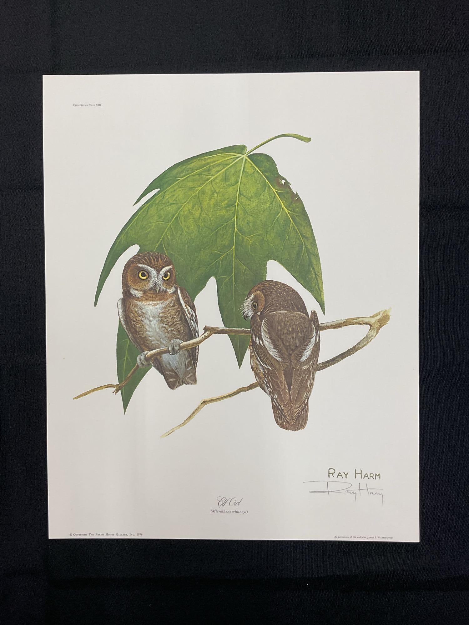 Ray Harm (American, b.1926-2015) Lithograph (1 of 5)