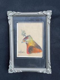 Antique Watercolor of a Quail