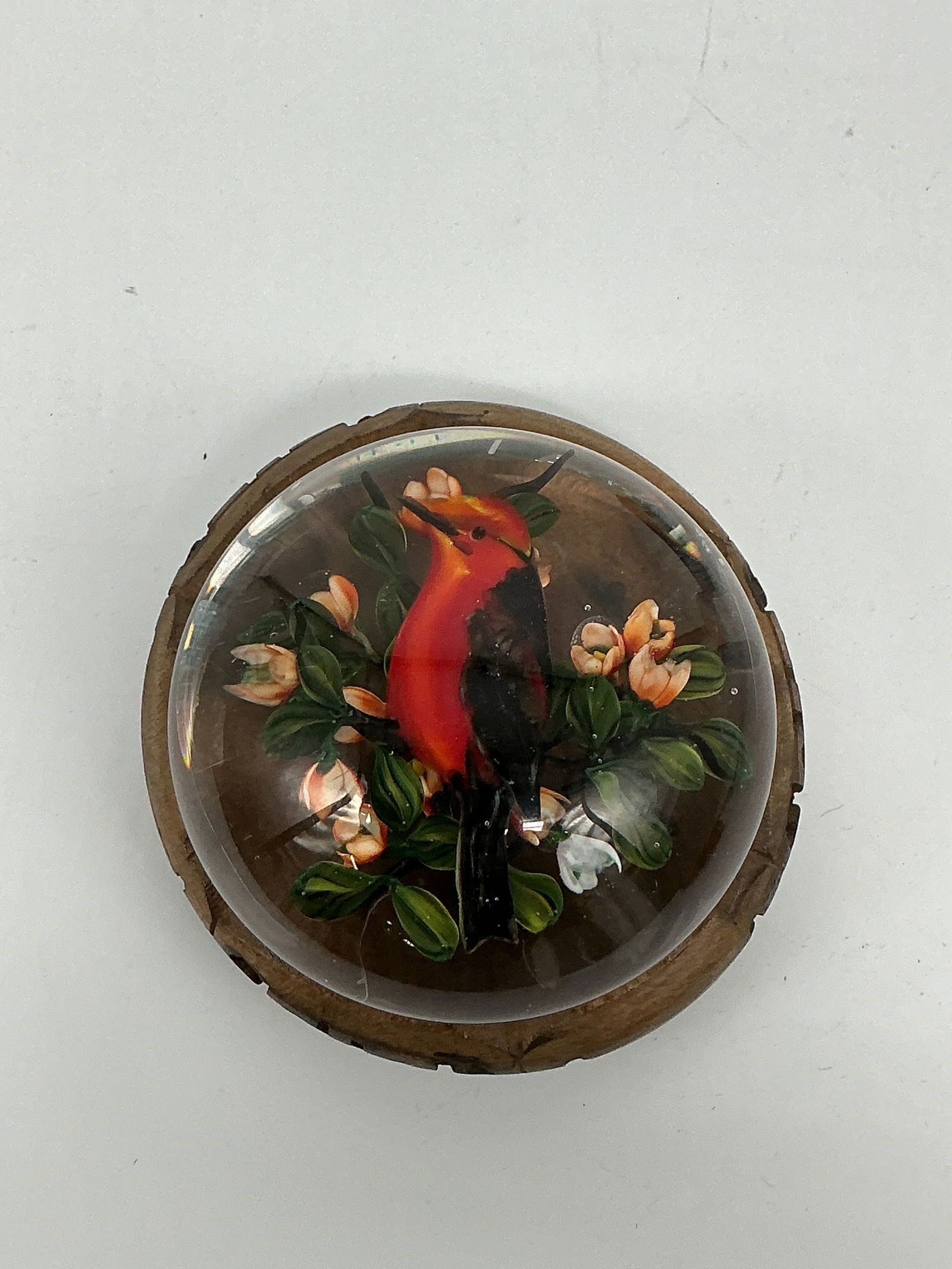 RARE Rick Ayotte Limited Edition Paperweight “Red Bird and Flowers?? 12/50 (1 of 5)