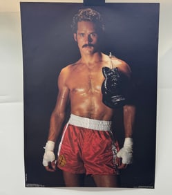 Butkus Boxing Poster, 28x20 inches