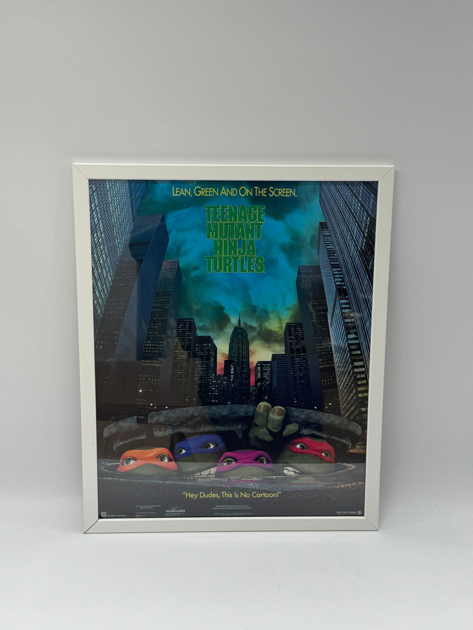 Teenage Mutant Ninja Turtles Movie Poster, Framed: Framed Teenage Mutant Ninja Turtles movie poster. Features the iconic turtles against a city skyline. Dimensions: 17 x 21 inches. Ready to hang.