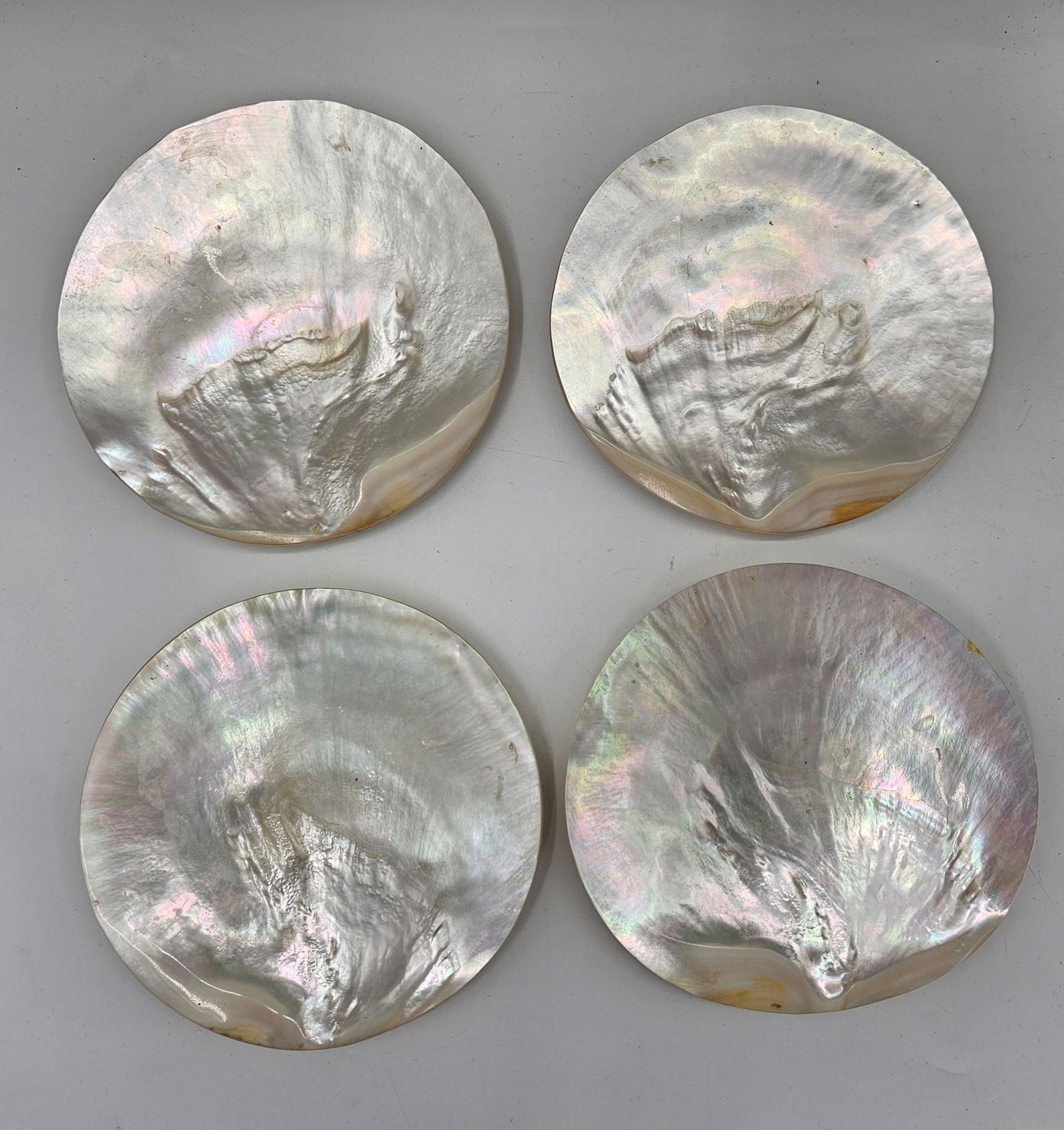 Set of Four Mother-of-Pearl Shell Dishes (1 of 3)