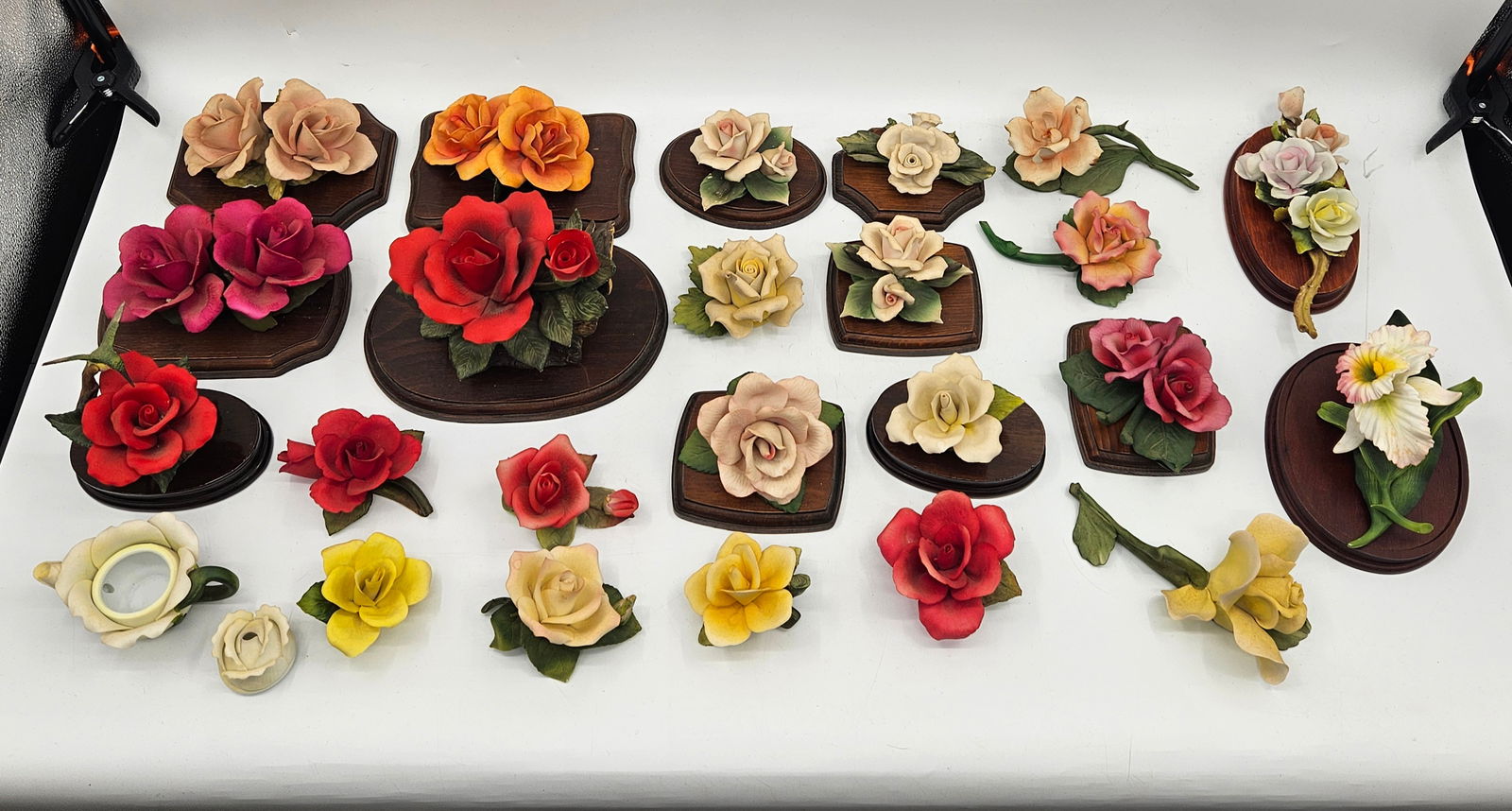 Capodimonte Porcelain Flower Collection: Collection of Capodimonte porcelain flowers, including roses and other floral varieties, mounted on wooden bases. Various colors and sizes. Limited Edition 1994.