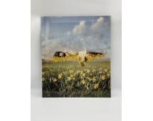 Yellowbud by Alastair Magnaldo