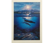 Christian Lassen 'Return to Paradise'