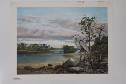 "Residual Expectations" by Keith Martin Johns