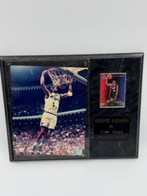 Anfernee Hardaway Orlando Magic Framed Display Plaque