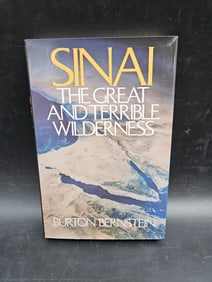 Sinai The Great and Terrible Wilderness by Beno Rothenberg
