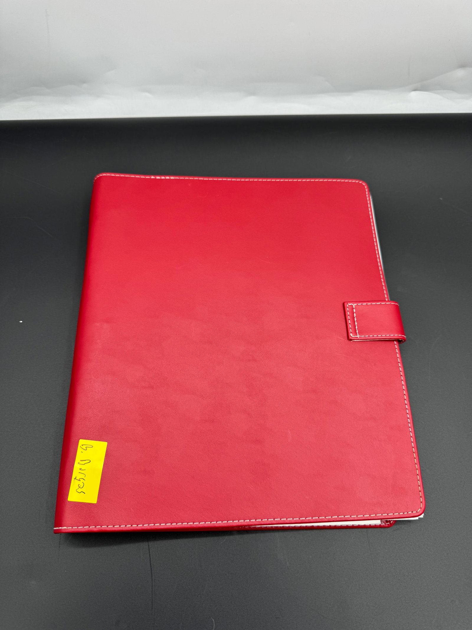 Ginny Lloyd Fluxus & Dada Performance Art Photo Archive in Binder, c. 1980s–2010s (1 of 5)