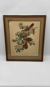 Framed Audubon Bird Print – Brown Thrasher and Cherokee Rose