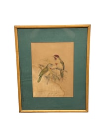 Pieter Willem Marinus Trap (Dutch, 1821-1905) Antique Ornithological Lithograph