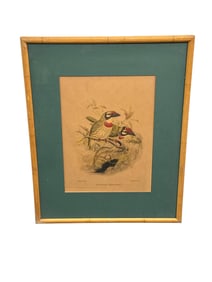 Pieter Willem Marinus Trap (Dutch, 1821-1905) Antique Ornithological Lithograph