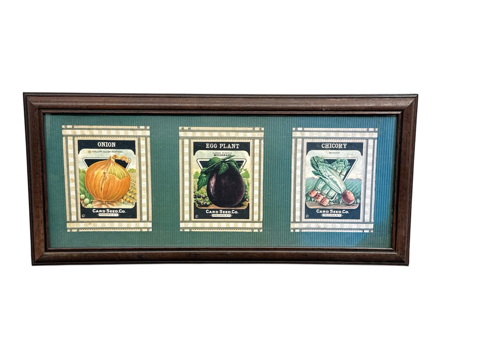 RARE Vintage Card Seed Co. Framed Trio: Original 1920s Onion, Eggplant, Chicory Packets (1 of 2)