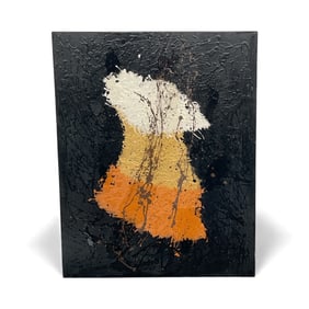 Miguel Angel-Jimenez – Black Field with Color Burst