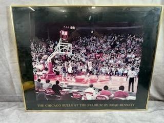 The Chicago Bulls by Brad Bennett